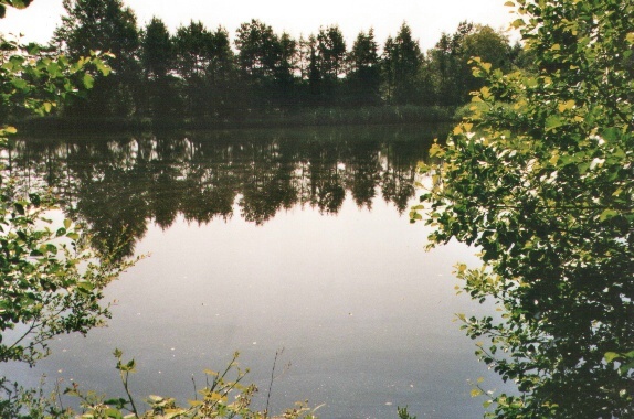 Teich im Hasenmoor