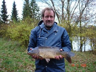 Sch�ner Schuppenkarpfen.