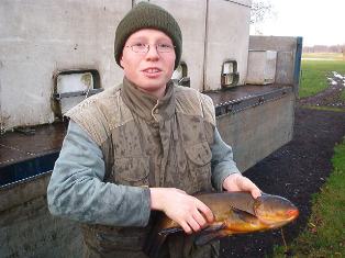 Kr�ftige Besatzschleie.