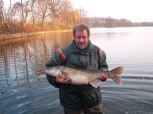 Besatz von einem kapitalen Laichzander am Alsensee.