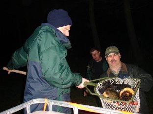 Der n�chste volle Kescher !!!