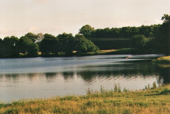 Alsensee I