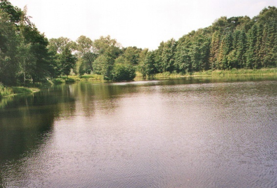 Unser Eigengewsser in Heidgraben.